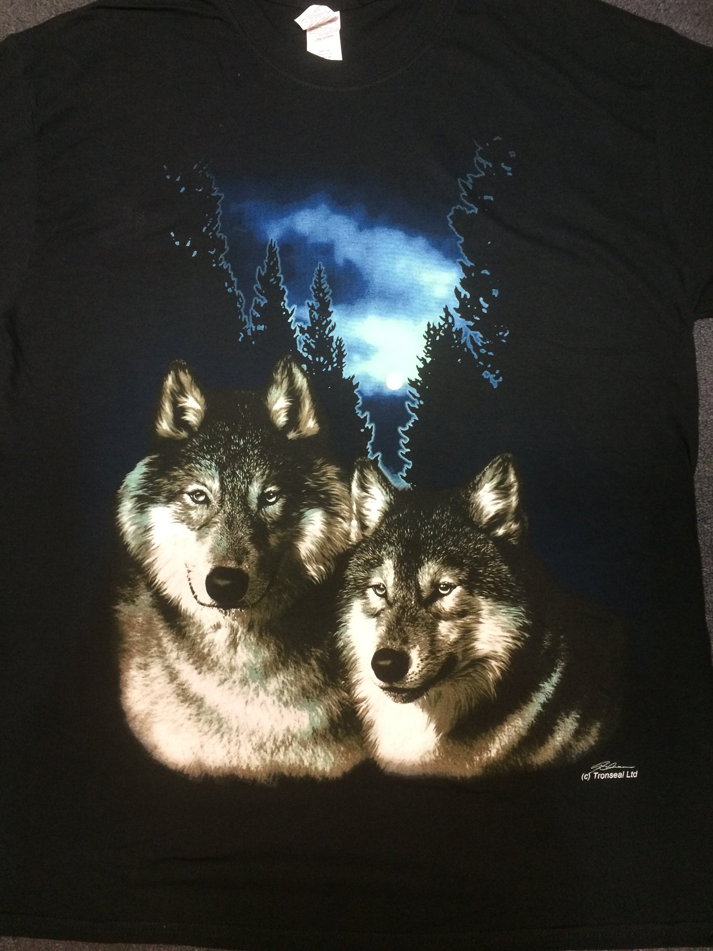 Twin Wolves with Moon and Blue Sky