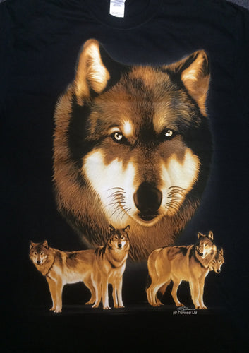 Brown Wolf Pack
