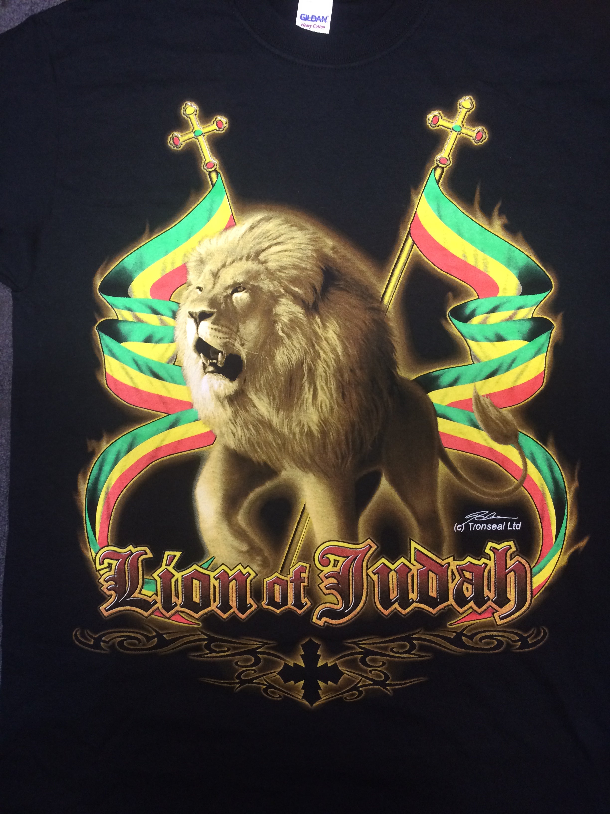 Lion of 2024 judah hoodie